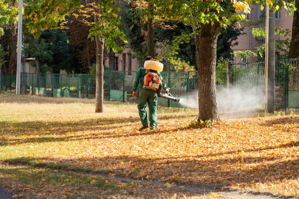 Best Best Pest Control Companies  in Klamath Falls, OR