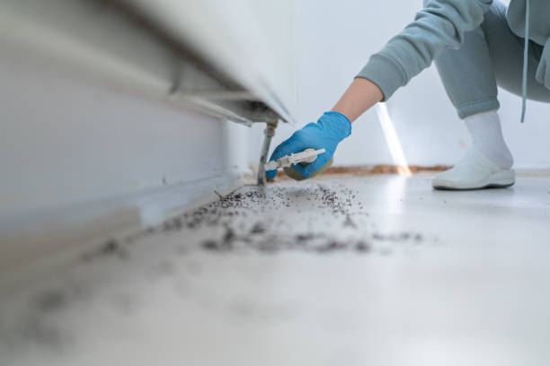 Best Rodent Control Near Me  in Klamath Falls, OR