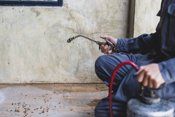 Best Local Pest Control Services  in Klamath Falls, OR